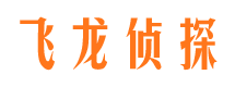 平坝侦探